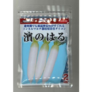画像: 送料無料　[大根]　濱のはる　2dl　(株)サカタのタネ
