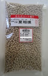 画像: 送料無料[大根]　夏相撲　ペレット種子5000粒　(株)サカタのタネ