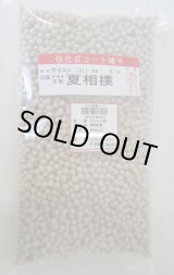 画像: 送料無料[大根] 夏相撲 ペレット種子5000粒 (株)サカタのタネ