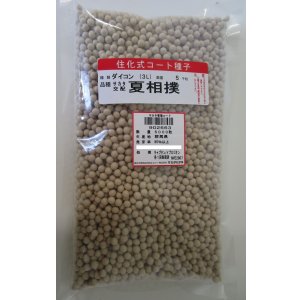 画像: 送料無料[大根]　夏相撲　ペレット5000粒　(株)サカタのタネ