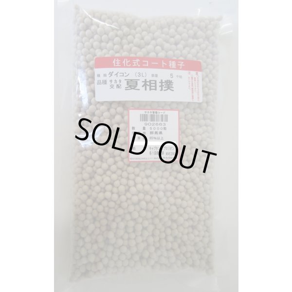 画像1: 送料無料[大根] 夏相撲 ペレット種子5000粒 (株)サカタのタネ (1)