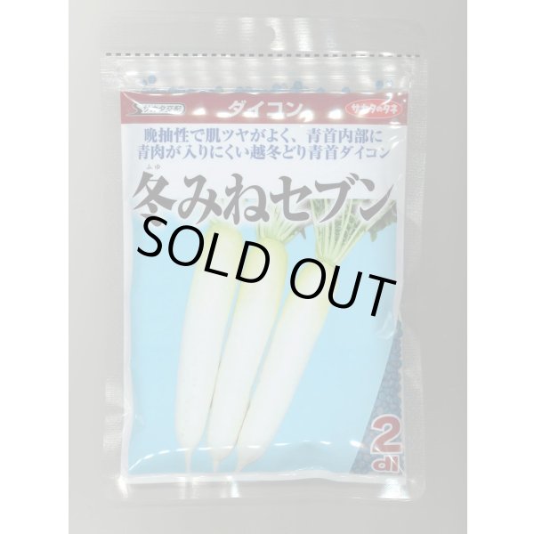 画像1: 送料無料 大根 冬みねセブン 2dl (株)サカタのタネ (1)