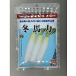 画像1: 送料無料　大根　冬馬力　8000粒　(株)サカタのタネ (1)
