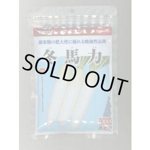 画像: 送料無料　大根　冬馬力　8000粒　(株)サカタのタネ