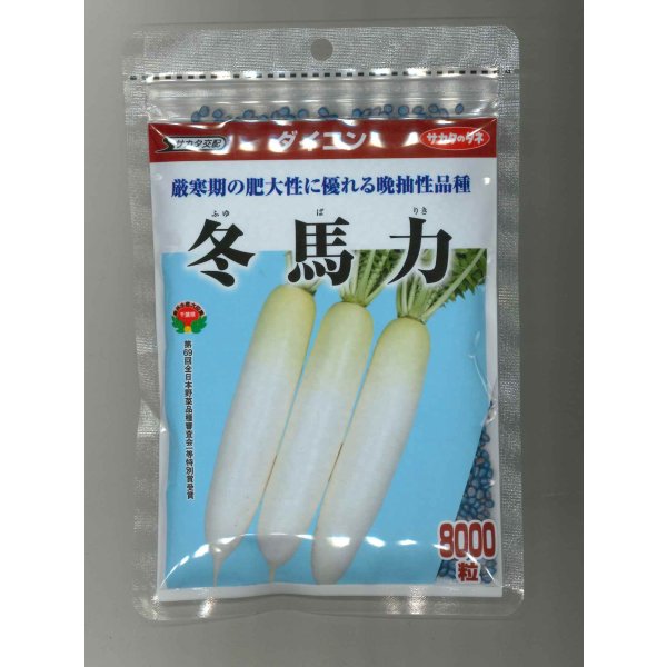 画像1: 送料無料 大根 冬馬力 8000粒 (株)サカタのタネ (1)