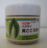 画像: 送料無料　[白菜]　黄ごころ90　ペレット5千粒　タキイ種苗（株）