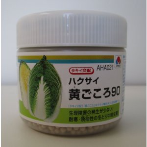 画像: 送料無料　[白菜]　黄ごころ90　ペレット5千粒　タキイ種苗（株）