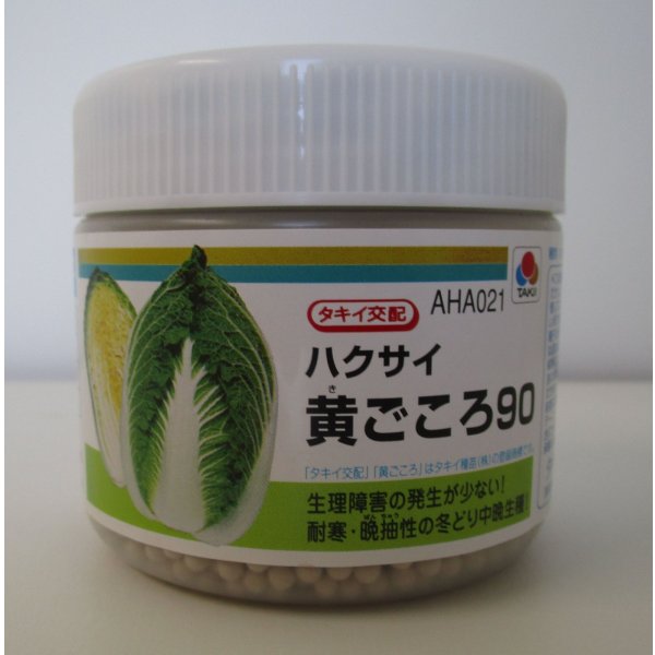 画像1: 送料無料　[白菜]　黄ごころ90　ペレット5千粒　タキイ種苗（株） (1)