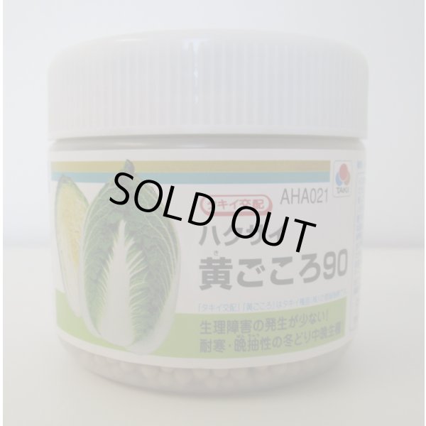 画像1: 送料無料　[白菜]　黄ごころ90　ペレット5千粒　タキイ種苗（株） (1)