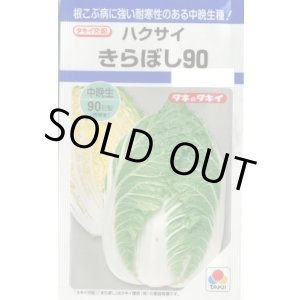 画像: 送料無料　[白菜]　きらぼし90　　タキイ種苗(株)DF