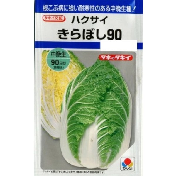 画像1: [白菜] きらぼし90 タキイ種苗(株)DF (1)
