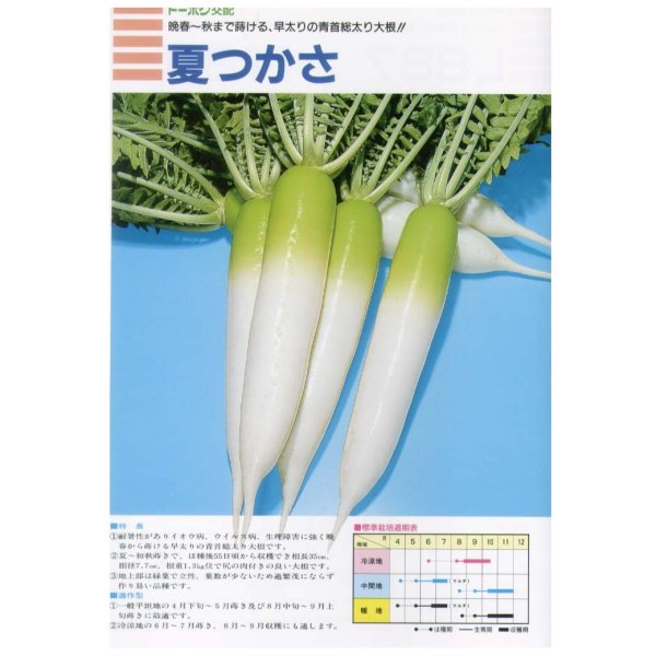 画像2: 送料無料　大根　夏つかさ　ペレット種子5千粒　（株）トーホク (2)