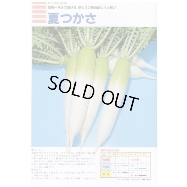 画像2: 送料無料　大根　夏つかさ　ペレット種子5千粒　（株）トーホク (2)