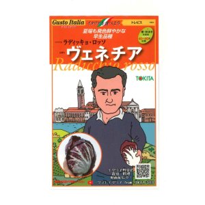 画像: 送料無料　[イタリア野菜]　ヴェネチア　ラディッキョ・ロッソ　80粒　トキタ種苗(株)