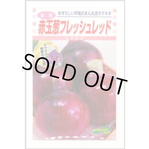 画像: 送料無料　[たまねぎ]　赤玉葱　フレッシュレッド　20ml　松永種苗(株)