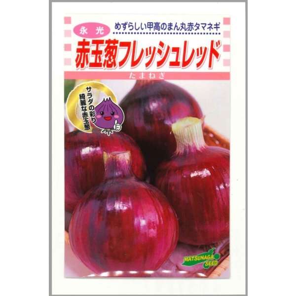 画像1: 送料無料　[たまねぎ]　赤玉葱　フレッシュレッド　20ml　松永種苗(株) (1)