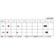 画像2: 送料無料　[たまねぎ]　ハイパーリニア　20ml　松永種苗(株) (2)