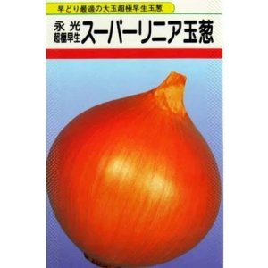 画像: 送料無料　[たまねぎ]　スーパーリニア　20ml　松永種苗(株)