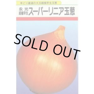 画像: 送料無料　[たまねぎ]　スーパーリニア　20ml　松永種苗(株)