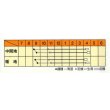 画像3: 送料無料　[たまねぎ]　スーパーリニア　20ml　松永種苗(株) (3)
