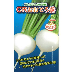画像: 送料無料　[かぶ]　CRおおとろ蕪　2ml 小林種苗（株）