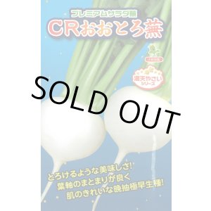 画像: 送料無料　[かぶ]　CRおおとろ蕪　2ml 小林種苗（株）