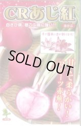 画像: 送料無料　[かぶ]　CRあじ紅　20ml　　 小林種苗（株）