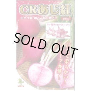 画像: 送料無料　[かぶ]　CRあじ紅　20ml　　 小林種苗（株）