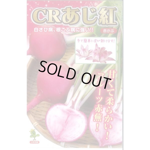 画像1: 送料無料　[かぶ]　CRあじ紅　20ml　　 小林種苗（株） (1)