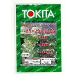 画像1: 送料無料　カリーノケールCG　200粒　トキタ種苗（株） (1)