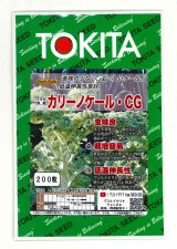 画像: 送料無料　カリーノケールCG　200粒　トキタ種苗（株）