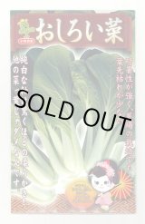 画像: おしろい菜 20ml 小林種苗（株）