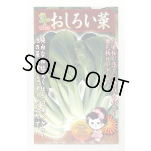 画像: おしろい菜 20ml 小林種苗（株）