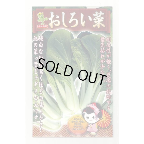 画像1: おしろい菜 20ml 小林種苗（株） (1)