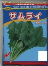 画像: [ほうれんそう]　サムライ　3万粒（種子サイズ：L）　渡辺農事（株）