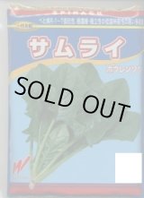 画像: [ほうれんそう]　サムライ　3万粒（種子サイズ：L）　渡辺農事（株）