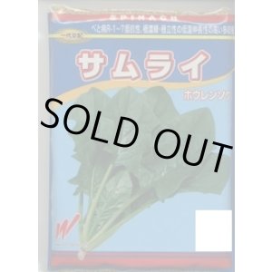 画像: [ほうれんそう]　サムライ　3万粒（種子サイズ：L）　渡辺農事（株）