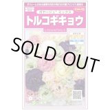 画像: 送料無料　花の種　トルコギキョウ　ボヤージュミックス　約40粒　　(株)サカタのタネ　実咲350（026123）