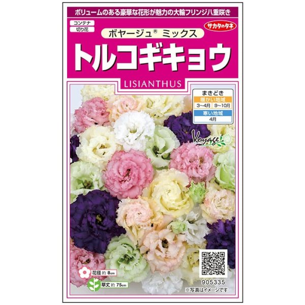 画像1: 送料無料　花の種　トルコギキョウ　ボヤージュミックス　約40粒　　(株)サカタのタネ　実咲350（026123） (1)