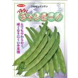 画像2: 送料無料　[いんげん]　インゲン　つるなしジャンビーノ　1dl　(株)サカタのタネ (2)