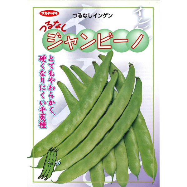 画像2: 送料無料 [いんげん] インゲン つるなしジャンビーノ 1dl (株)サカタのタネ (2)