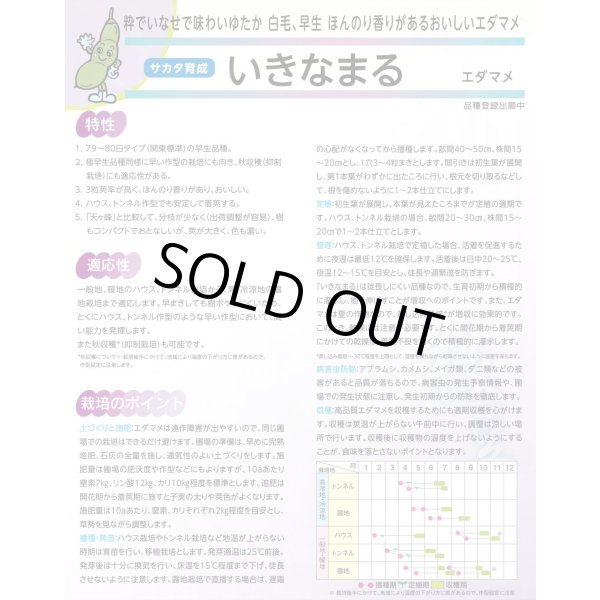 画像7: 送料無料　[枝豆]　いきなまる　約40粒　(株)サカタのタネ　実咲350　（003157）　　　　　　　　　　　　　　　　　　　　　　　　　　　　　　　　　　　　 (7)