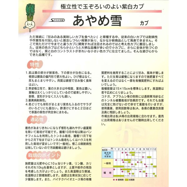 画像3: 送料無料　[かぶ]　あやめ雪　約600粒　(株)サカタのタネ　実咲450（003100） (3)