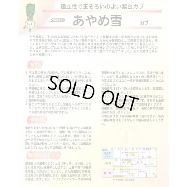 画像3: 送料無料　[かぶ]　あやめ雪　約600粒　(株)サカタのタネ　実咲450（003100） (3)