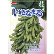 画像6: 送料無料　[枝豆]　いきなまる　約40粒　(株)サカタのタネ　実咲350　（003157）　　　　　　　　　　　　　　　　　　　　　　　　　　　　　　　　　　　　 (6)