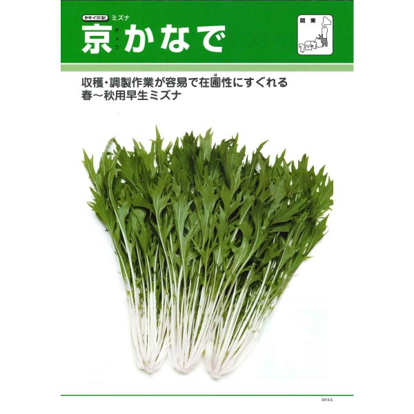 画像2: 送料無料 水菜 京かなで 20ml タキイ種苗(株) (2)