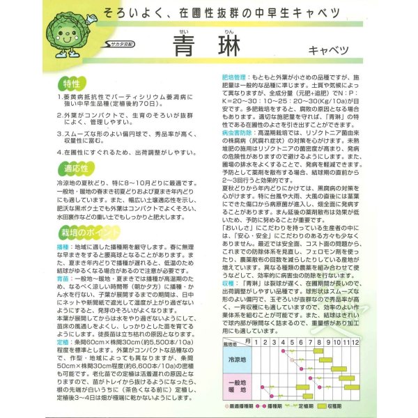 画像4: 送料無料 [キャベツ] 青琳 ペレット種子5千粒 （株）サカタのタネ (4)