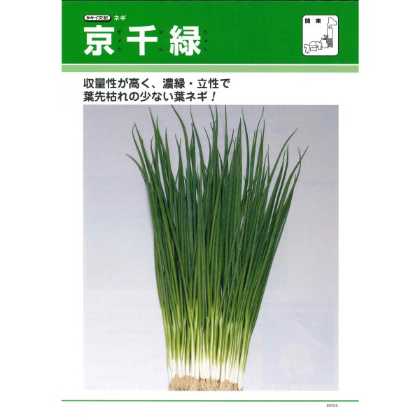 画像2: シーダー種子　ネギ　京千緑　1粒×1cm間隔×200ｍ (2)