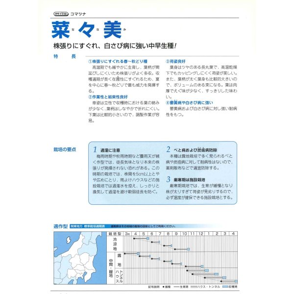 画像3: 送料無料 [小松菜] 菜々美 20ml タキイ種苗(株) (3)