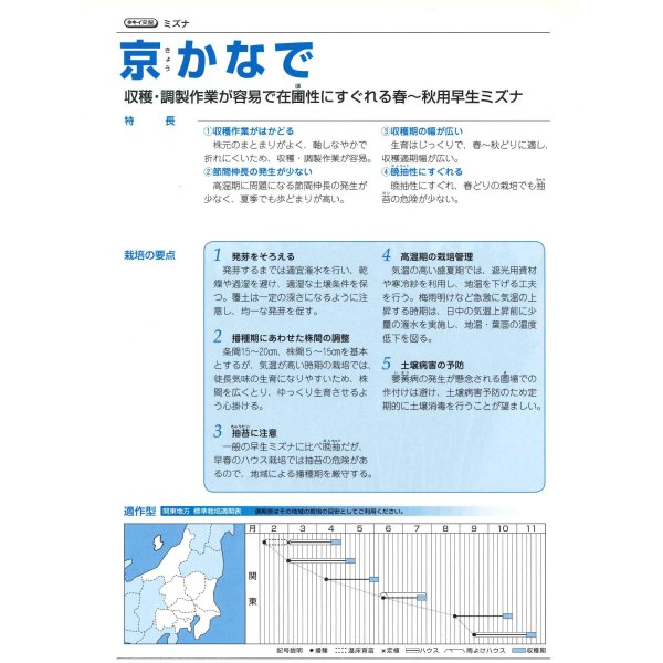 画像3: 送料無料 水菜 京かなで 20ml タキイ種苗(株) (3)